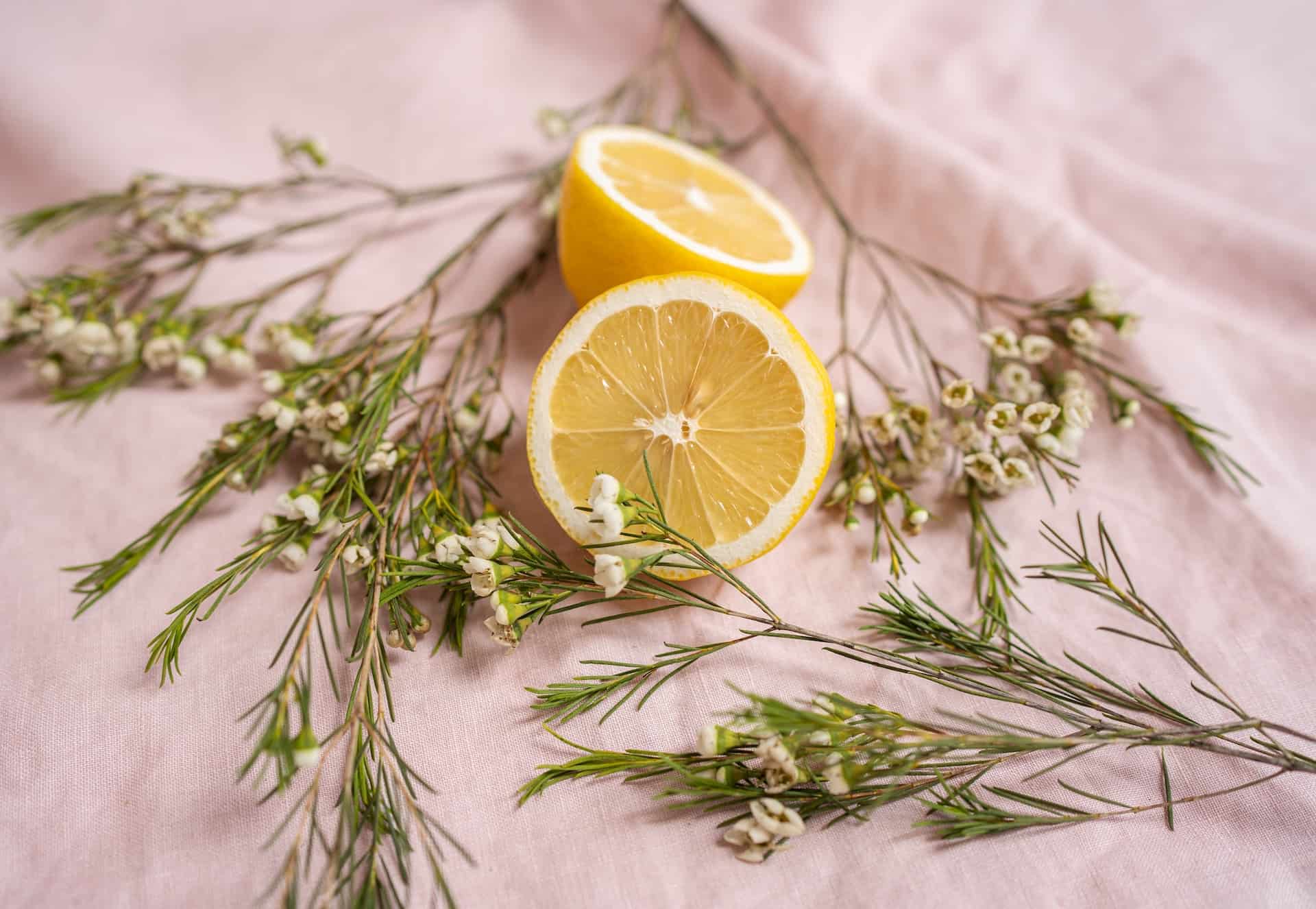 What is Limonene Terpene? Effects and Benefits