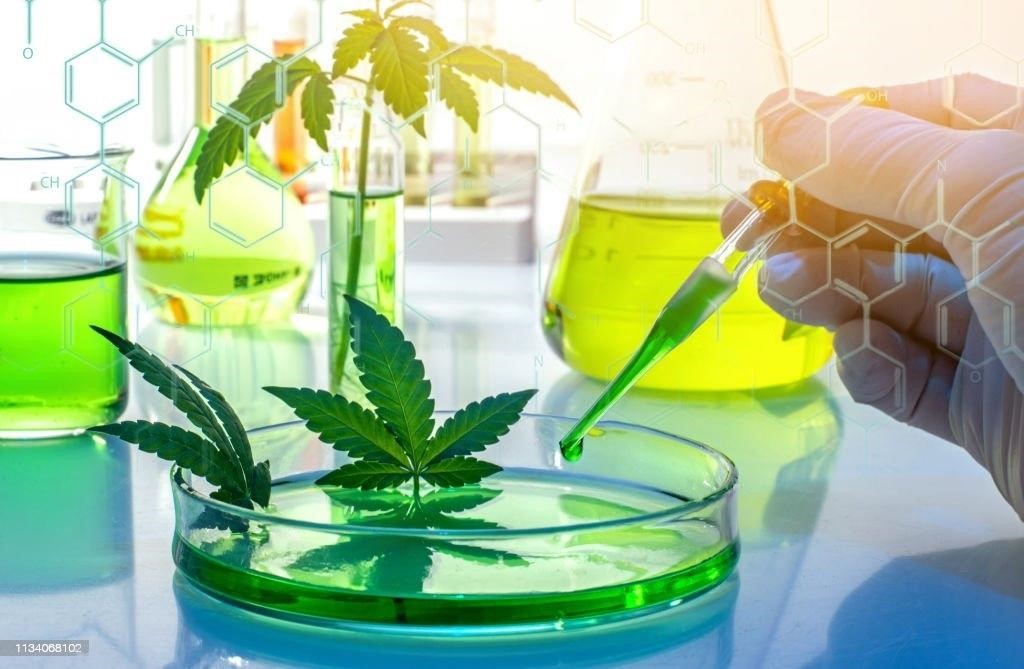 science of CBG