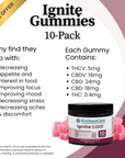 Synergy Bundle | 10-Pack Edible Bundle