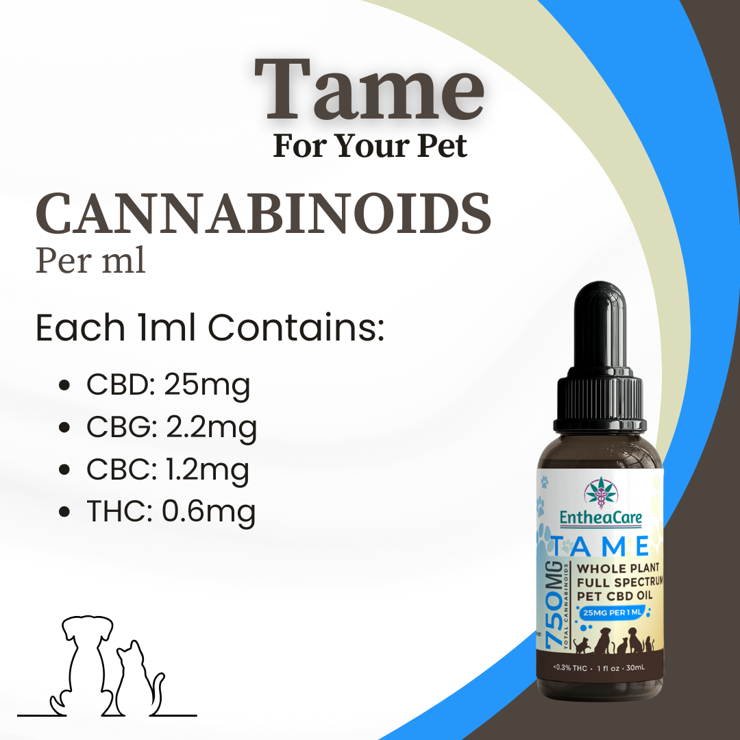 Tame | Whole Plant Full Spectrum CBD Oil for Dogs and Cats