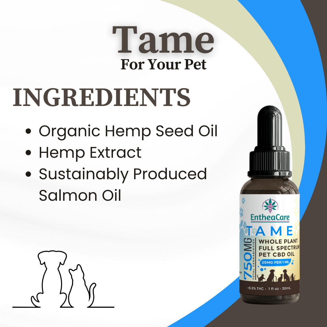 Tame | Whole Plant Full Spectrum CBD Oil for Dogs and Cats